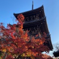 実際訪問したユーザーが直接撮影して投稿した浄土寺真如町寺真如堂の写真