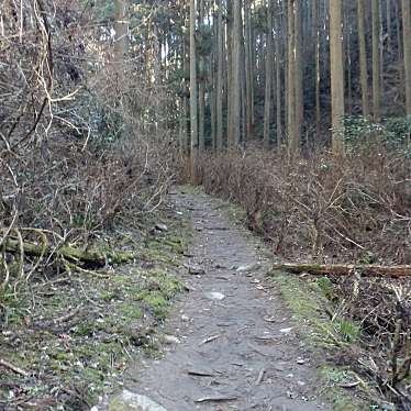 御岩神社 参道のundefinedに実際訪問訪問したユーザーunknownさんが新しく投稿した新着口コミの写真