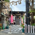 実際訪問したユーザーが直接撮影して投稿した菊名神社菊名神社の写真