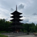 実際訪問したユーザーが直接撮影して投稿した芋沢居酒屋定義山の写真