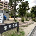 実際訪問したユーザーが直接撮影して投稿した紫町公園紫町公園の写真