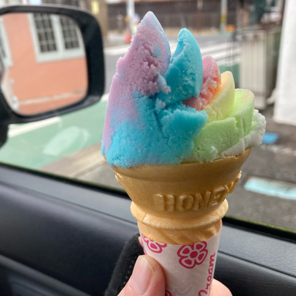 ユーザーが投稿したアイスクリーム(モナカ)の写真 - 実際訪問したユーザーが直接撮影して投稿した氏家ケーキレインボーアイスクリーム 江連商店の写真