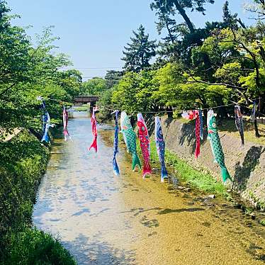 実際訪問したユーザーが直接撮影して投稿した宮西町公園夙川河川敷緑地の写真