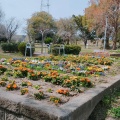 実際訪問したユーザーが直接撮影して投稿した八雲北町公園下島公園の写真