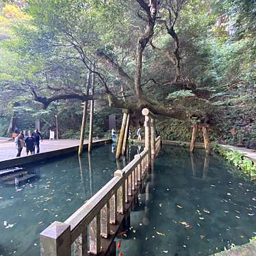 実際訪問したユーザーが直接撮影して投稿した宮中公園鹿島神宮園地 御手洗公園の写真