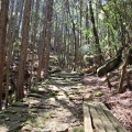 実際訪問したユーザーが直接撮影して投稿した木本町山 / 峠松本峠の写真