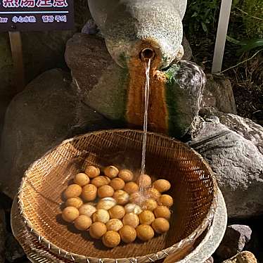 ラーターさんが投稿した鉄輪日帰り温泉のお店ひょうたん温泉/ヒョウタンオンセンの写真