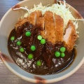 デミカツ丼 - 実際訪問したユーザーが直接撮影して投稿した石関町洋食岡山グルメと珈琲 ALOALOの写真のメニュー情報