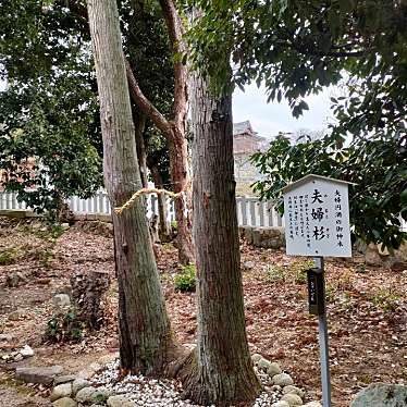 実際訪問したユーザーが直接撮影して投稿した中山寺神社市杵島姫神社の写真