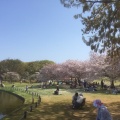 実際訪問したユーザーが直接撮影して投稿した百舌鳥夕雲町公園大仙公園の写真