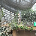 実際訪問したユーザーが直接撮影して投稿した港島南町動物園神戸どうぶつ王国の写真