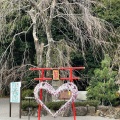 実際訪問したユーザーが直接撮影して投稿した伊豆山神社伊豆山神社の写真