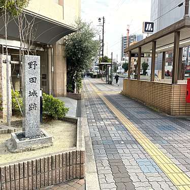 実際訪問したユーザーが直接撮影して投稿した玉川城 / 城跡野田城跡の写真