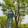 実際訪問したユーザーが直接撮影して投稿した竹園公園竹園公園の写真