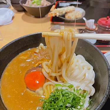 実際訪問したユーザーが直接撮影して投稿した玉津うどん東成麺家 うどん上々の写真