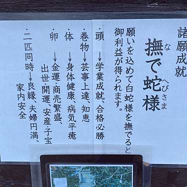 実際訪問したユーザーが直接撮影して投稿した連雀町神社撫で蛇様の写真