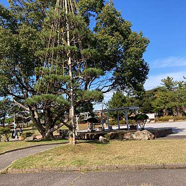 実際訪問したユーザーが直接撮影して投稿した中央町公園中央公園の写真