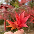 実際訪問したユーザーが直接撮影して投稿した上矢田町神社鍬山神社の写真