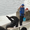 実際訪問したユーザーが直接撮影して投稿した瀬戸水族館 / アクアリウム城崎マリンワールドの写真