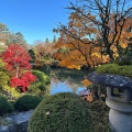 実際訪問したユーザーが直接撮影して投稿した山内庭園日光山輪王寺 逍遥園の写真