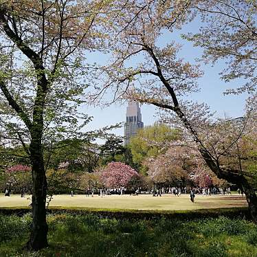 新宿御苑のundefinedに実際訪問訪問したユーザーunknownさんが新しく投稿した新着口コミの写真