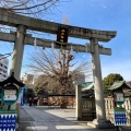 実際訪問したユーザーが直接撮影して投稿した今戸神社今戸神社の写真