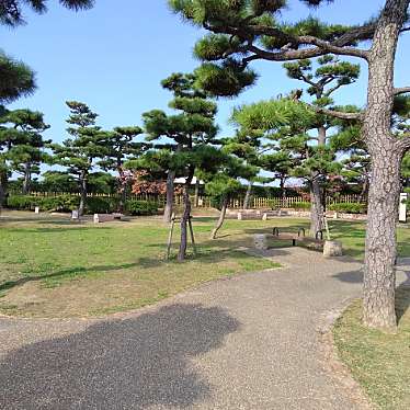 新免無二さんが投稿した岸城町城 / 城跡のお店岸和田城 二の丸跡/キシワダジョウ ニノマルアトの写真