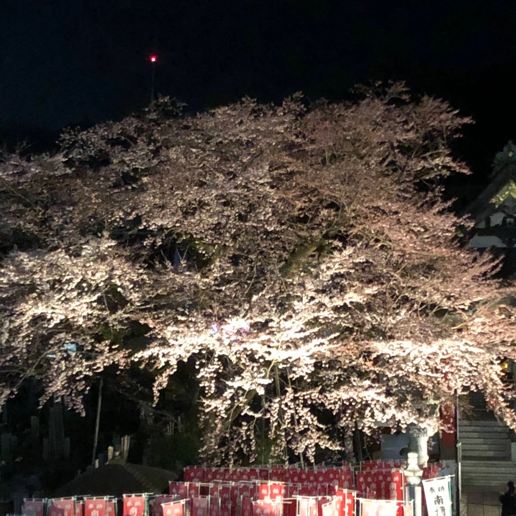 実際訪問したユーザーが直接撮影して投稿した初沢町寺大光寺の写真