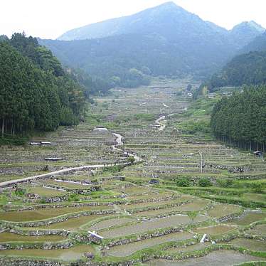 実際訪問したユーザーが直接撮影して投稿した四谷地域名所四谷の千枚田の写真