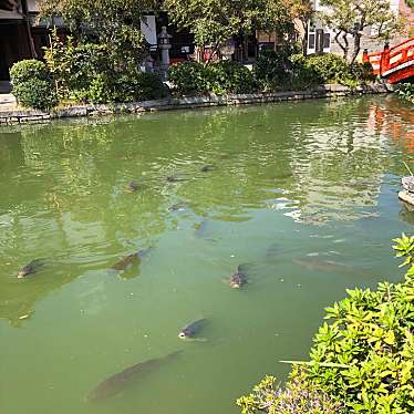 実際訪問したユーザーが直接撮影して投稿した門前町寺弁天堂(神泉苑)の写真