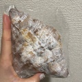 実際訪問したユーザーが直接撮影して投稿した有明ベーカリーMUJI Bakery 東京有明の写真