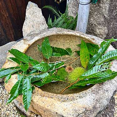 実際訪問したユーザーが直接撮影して投稿した駒場お茶卸 / 販売店市川製茶の写真