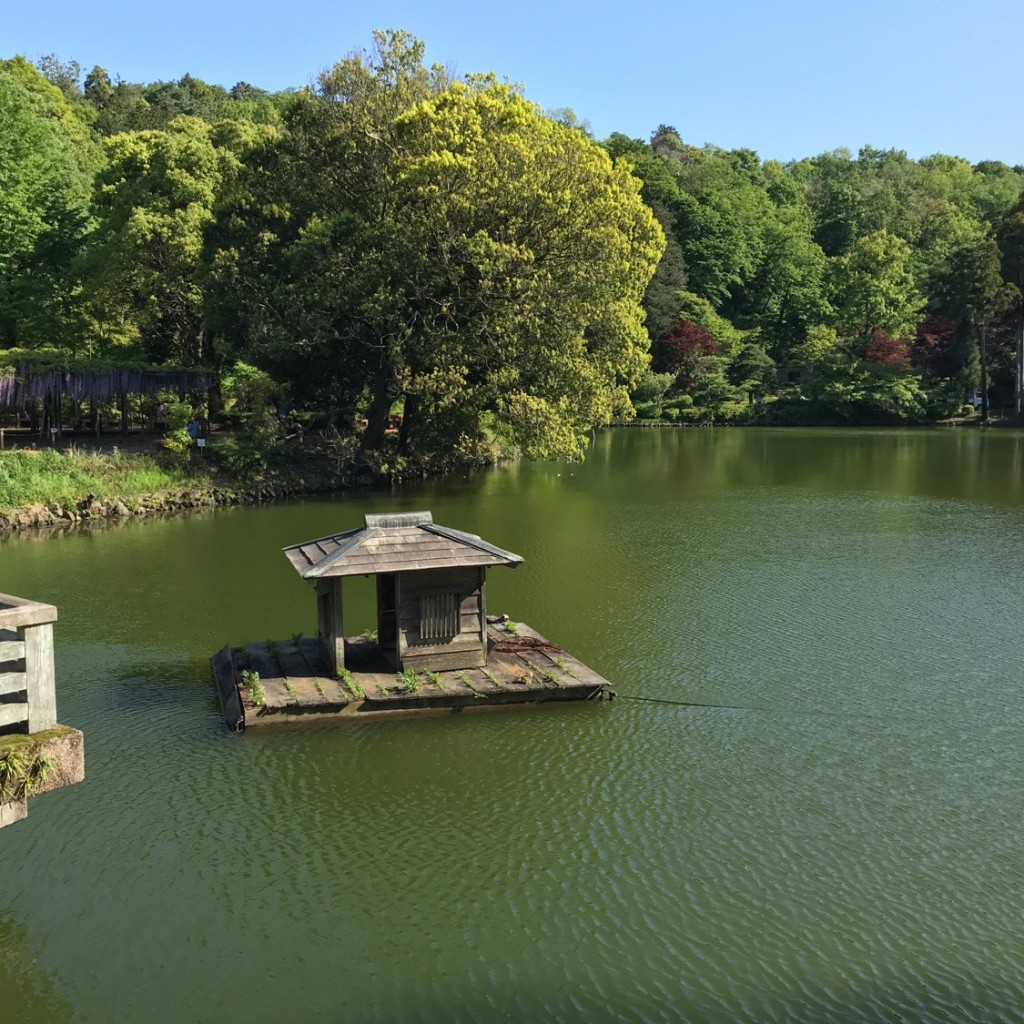 実際訪問したユーザーが直接撮影して投稿した野津田町地域名所薬師池公園のお堂の写真