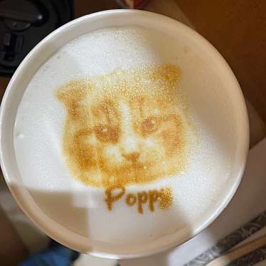 Cat Cafe MOFF つかしん店のundefinedに実際訪問訪問したユーザーunknownさんが新しく投稿した新着口コミの写真