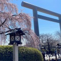 実際訪問したユーザーが直接撮影して投稿した桜台神社櫻木神社の写真