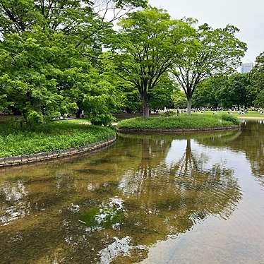 代々木公園 噴水のundefinedに実際訪問訪問したユーザーunknownさんが新しく投稿した新着口コミの写真