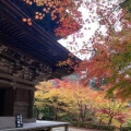 実際訪問したユーザーが直接撮影して投稿した松尾寺寺金剛輪寺の写真