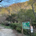 実際訪問したユーザーが直接撮影して投稿した祇園町公園武田山憩の森の写真