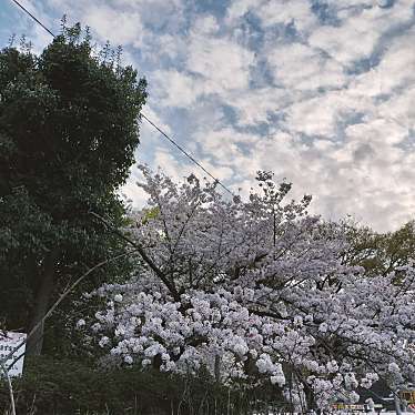 芥川公園のundefinedに実際訪問訪問したユーザーunknownさんが新しく投稿した新着口コミの写真