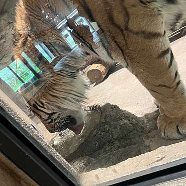 日立市かみね動物園のundefinedに実際訪問訪問したユーザーunknownさんが新しく投稿した新着口コミの写真