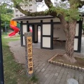 実際訪問したユーザーが直接撮影して投稿した光が丘公園光が丘山根公園の写真