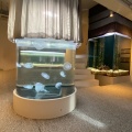 実際訪問したユーザーが直接撮影して投稿した雪御所町水族館 / アクアリウムみなとやま水族館の写真