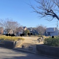 実際訪問したユーザーが直接撮影して投稿しためいわ公園かっこう児童公園の写真