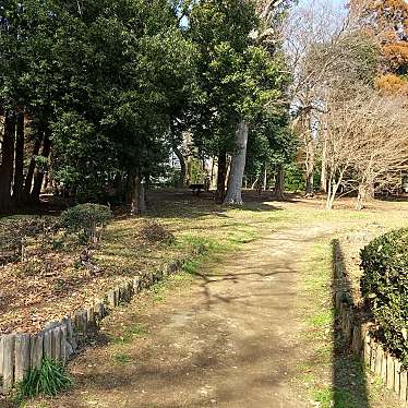 実際訪問したユーザーが直接撮影して投稿した公園勝田市民の森の写真