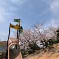 実際訪問したユーザーが直接撮影して投稿した福田町福田公園種松山公園西園地の写真