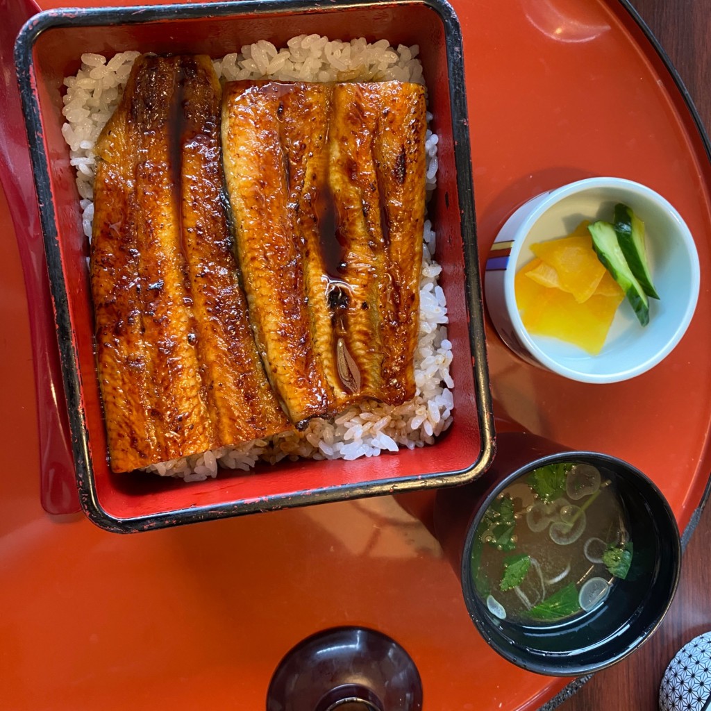 ユーザーが投稿したお昼のにぎり寿司の写真 - 実際訪問したユーザーが直接撮影して投稿した早渕ファミリーレストラン味の民芸 港北ニュータウン店の写真