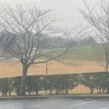 実際訪問したユーザーが直接撮影して投稿した平川町公園錦江湾公園の写真