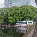 実際訪問したユーザーが直接撮影して投稿した元赤坂釣り弁慶濠の写真
