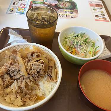 実際訪問したユーザーが直接撮影して投稿した東大井牛丼すき家 第一京浜鮫洲店の写真