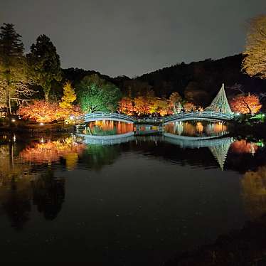 薬師池公園のundefinedに実際訪問訪問したユーザーunknownさんが新しく投稿した新着口コミの写真